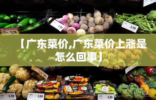 【广东菜价,广东菜价上涨是怎么回事】