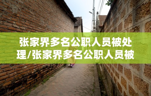 张家界多名公职人员被处理/张家界多名公职人员被处理事件