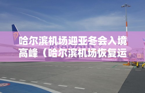 哈尔滨机场迎亚冬会入境高峰（哈尔滨机场恢复运行了吗）