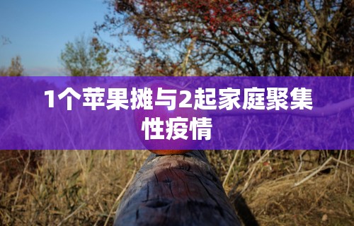 1个苹果摊与2起家庭聚集性疫情