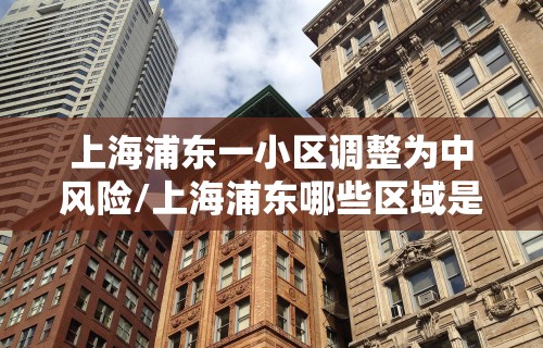 上海浦东一小区调整为中风险/上海浦东哪些区域是中风险