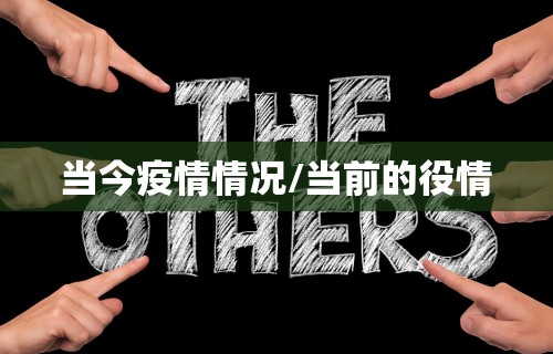 当今疫情情况/当前的役情