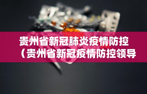 贵州省新冠肺炎疫情防控（贵州省新冠疫情防控领导小组）