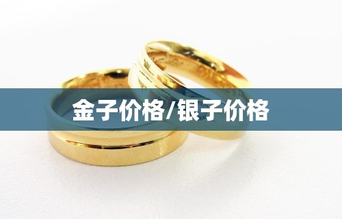 金子价格/银子价格