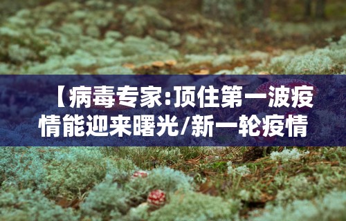 【病毒专家:顶住第一波疫情能迎来曙光/新一轮疫情病毒叫什么】