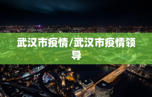 武汉市疫情/武汉市疫情领导