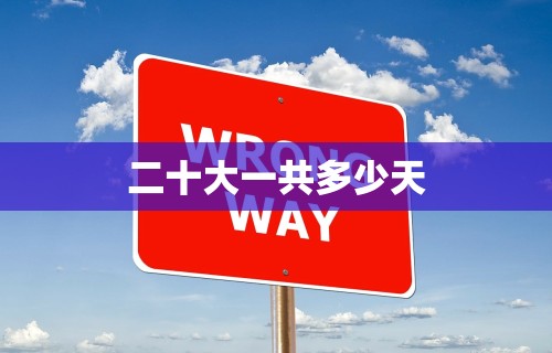 二十大一共多少天