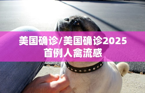 美国确诊/美国确诊2025首例人禽流感