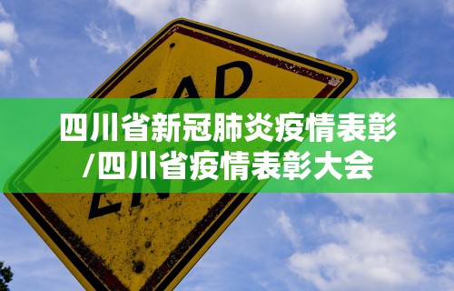 四川省新冠肺炎疫情表彰/四川省疫情表彰大会