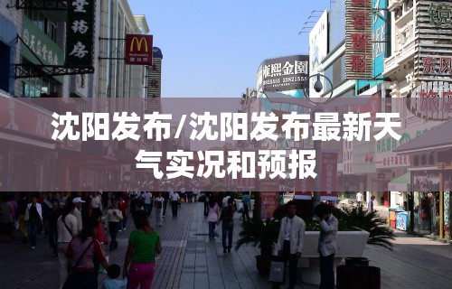 沈阳发布/沈阳发布最新天气实况和预报 沈阳发布/沈阳发布最新天气实况和预报