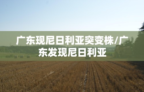广东现尼日利亚突变株/广东发现尼日利亚