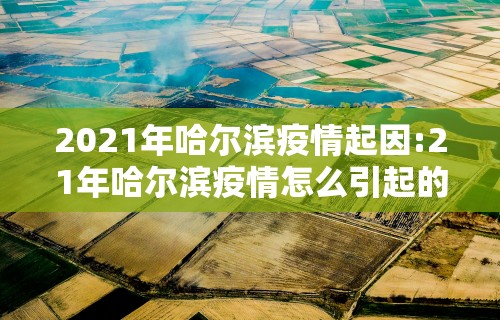 2021年哈尔滨疫情起因:21年哈尔滨疫情怎么引起的