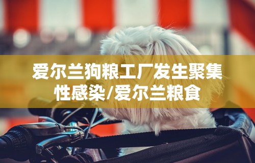 爱尔兰狗粮工厂发生聚集性感染/爱尔兰粮食