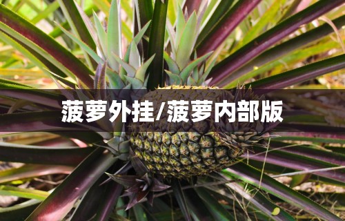 菠萝外挂/菠萝内部版