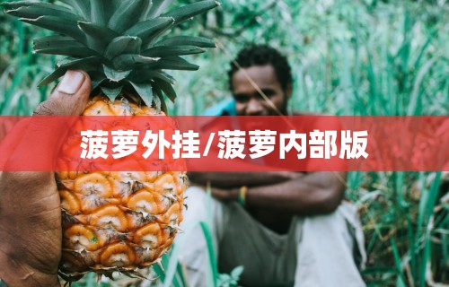 菠萝外挂/菠萝内部版 菠萝外挂/菠萝内部版