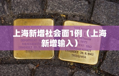 上海新增社会面1例（上海新增输入）