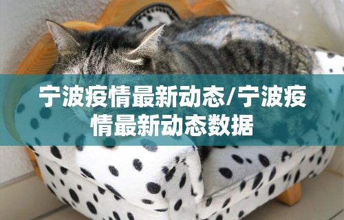 宁波疫情最新动态/宁波疫情最新动态数据 宁波疫情最新动态/宁波疫情最新动态数据