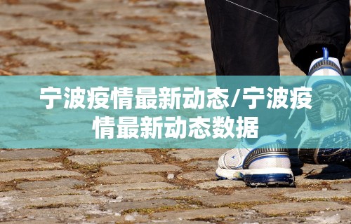 宁波疫情最新动态/宁波疫情最新动态数据