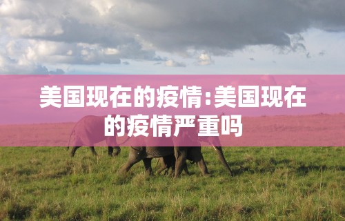 美国现在的疫情:美国现在的疫情严重吗
