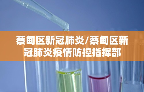 蔡甸区新冠肺炎/蔡甸区新冠肺炎疫情防控指挥部