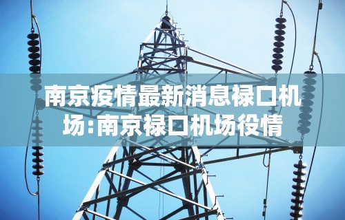 南京疫情最新消息禄口机场:南京禄口机场役情