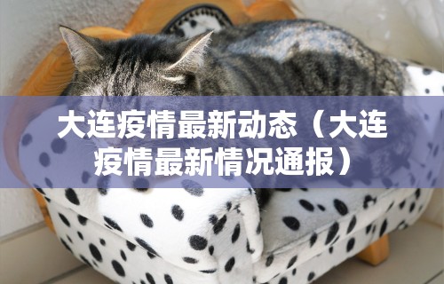 大连疫情最新动态（大连疫情最新情况通报）
