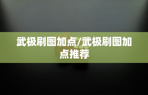 武极刷图加点/武极刷图加点推荐