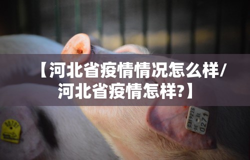 【河北省疫情情况怎么样/河北省疫情怎样?】