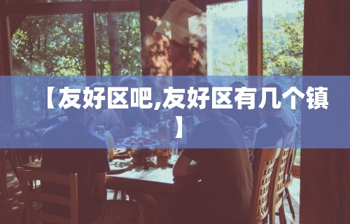 【友好区吧,友好区有几个镇】