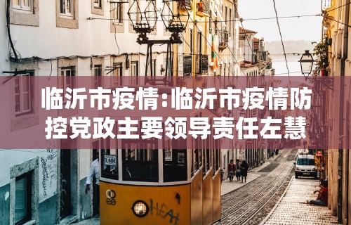 临沂市疫情:临沂市疫情防控党政主要领导责任左慧杉