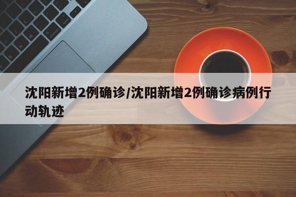沈阳新增2例确诊/沈阳新增2例确诊病例行动轨迹