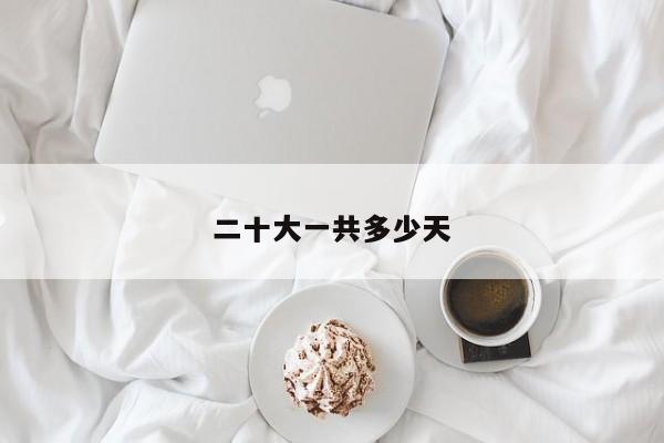 二十大一共多少天