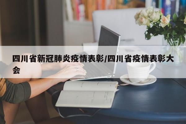 四川省新冠肺炎疫情表彰/四川省疫情表彰大会