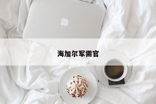 海加尔军需官
