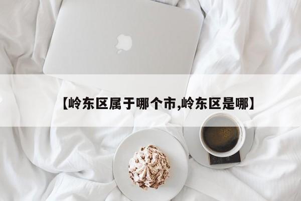 【岭东区属于哪个市,岭东区是哪】