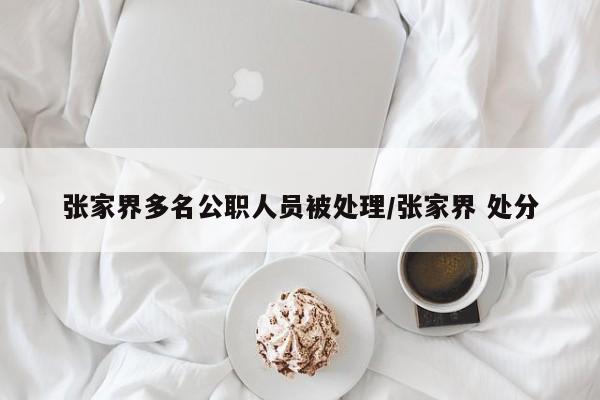 张家界多名公职人员被处理/张家界 处分
